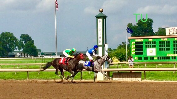 Lighthawk wins for hot jockey, Miguel Mena at Ellis Park.