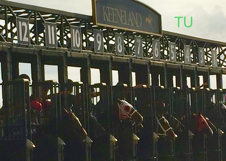 Keeneland kicks of the Fall Meet with Fall Stars Weekend.