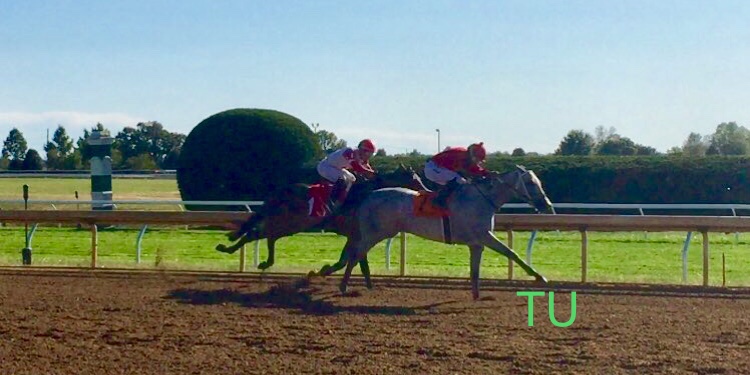 Silver Prospector and Santana, Jr. win at Keeneland!