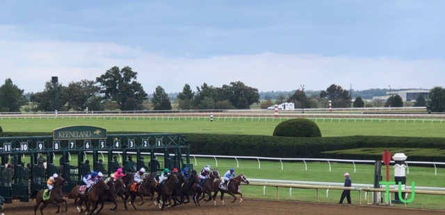 Live racing at Keeneland October, 2020.