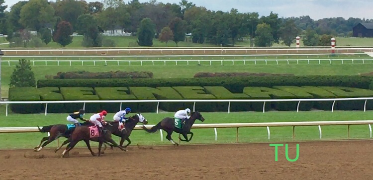 Fall Stars Weekend kicks off Keeneland's Fall Meet!