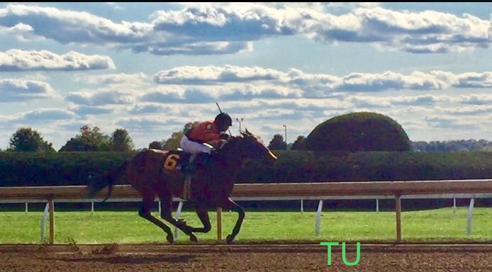 Inthemidstofbiz won at Keeneland's Fallmeet and will race in the BC Filly and Mare Sprint!