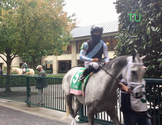 Valiance will race in the BC Distaff.  This beautiful gray filly won at Keeneland in the Fall.