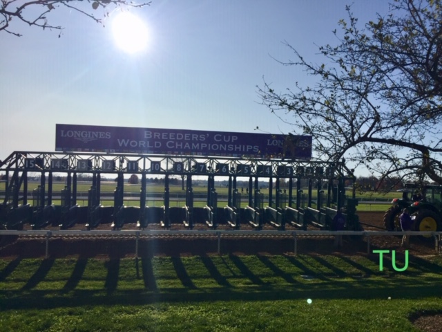 Keeneland hosted the 37th Breeders' Cup in November of 2020!