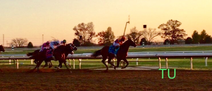 Authentic wins the Breeders' Cup Classic at Keeneland by 2.25 lengths!