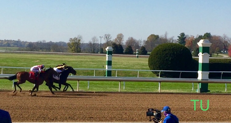 Highly Motivated fought hard for the win in the Nyquist Stakes at Keeneland!