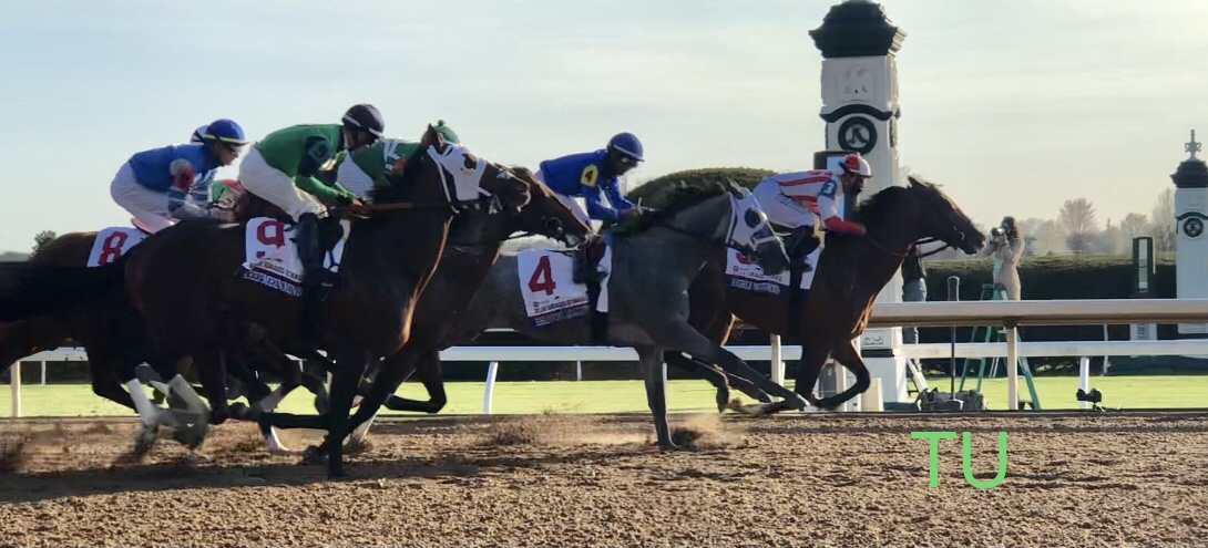 Keenland hosts some of the final Kentucky Derby preps. Last week the Blue Grass Stakes raced.