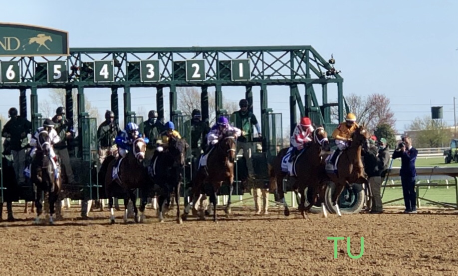 Pass the Champagne, Malathaat and Will's Secret all break from the gate at Keeneland in the Ashland Stakes. Next, they will all race in the Kentucky Oaks!