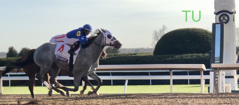 Essential Quality knows how to win a race. Up next, the 153rd Belmont Stakes!