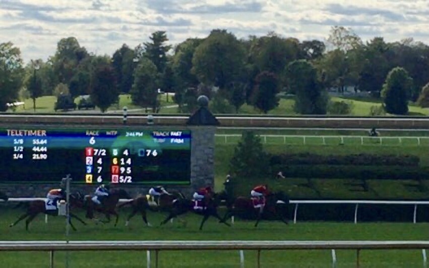 Leinster was the winner of Keeneland's Woodford Stakes in 2020.