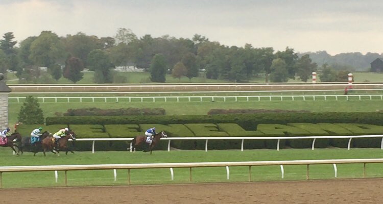 Mutasaabeq won the Bourbon Stakes at Keeneland in 2020!