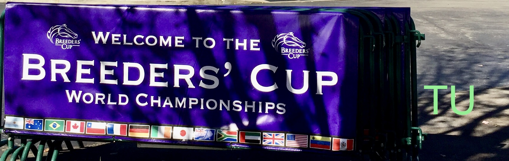 Breeders' Cup 2021 will be hosted by Del Mar Racetrack.
