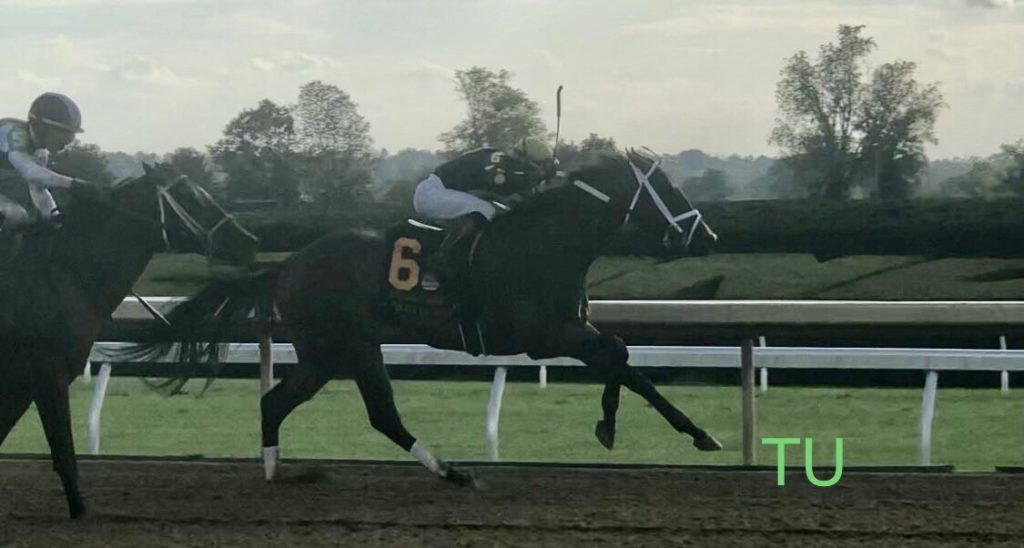 Special Reserve won Keeneland's Stoll Keenon Ogden Phoenix Stakes and is entered in the 2021 Breeders' Cup Sprint.