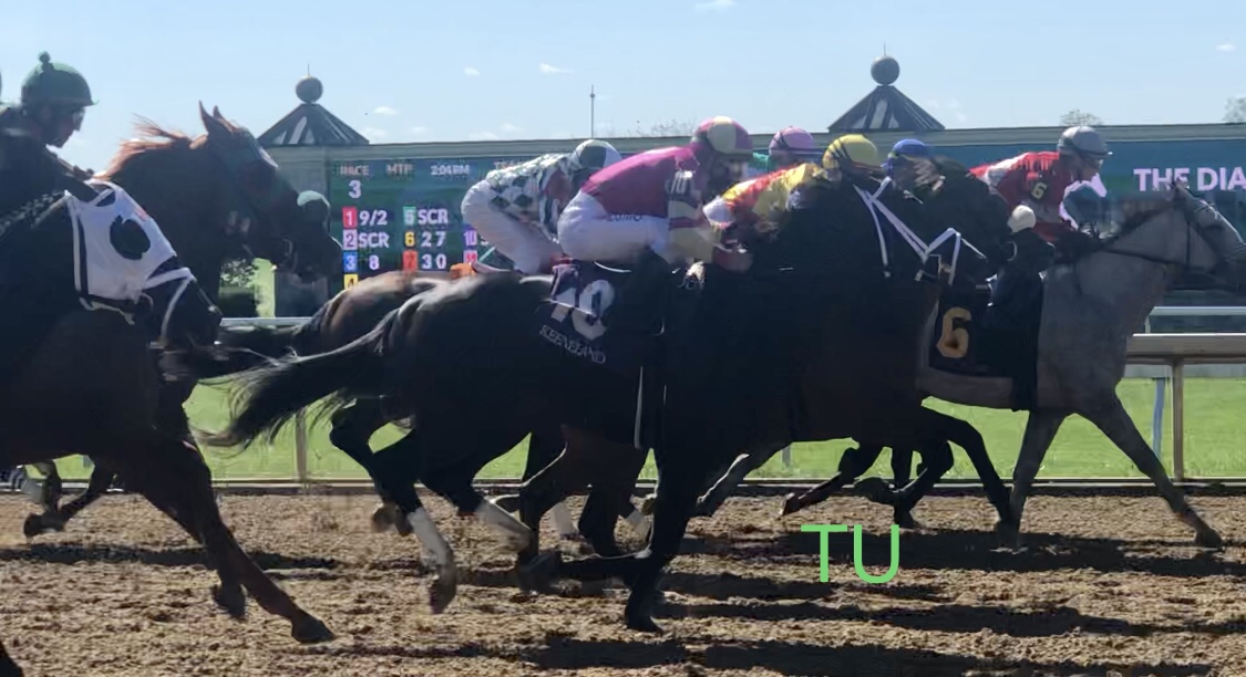 Spin Wheel breaks from post 12 trailing the pack to rally with a fourth place finish at Keeneland. If he finishes in the top four in the Holy Bull he will get Kentucky Derby prep points.