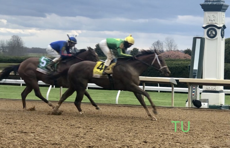 Stakes winning at Keeneland in Lexington, KY. Madison Stakes winner, 2022.