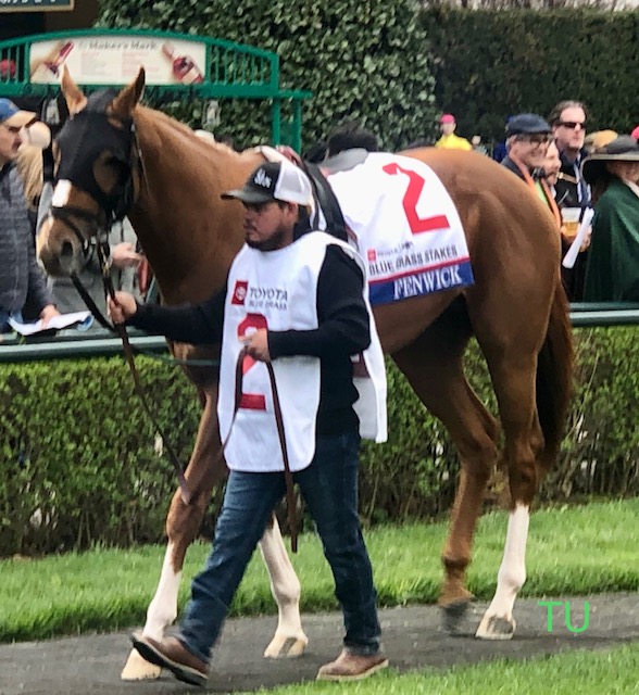 Fenwick participated in Keeneland's Blue Grass Stakes. He is entered in the 147th Preakness Stakes.