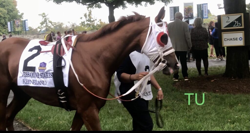 California Angel won the 2021 JP Morgan Jessamine Stakes at Keeneland. 