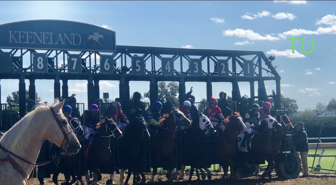 Thoroughbred U is back at the track for Keeneland's Fall Meet, 2022.