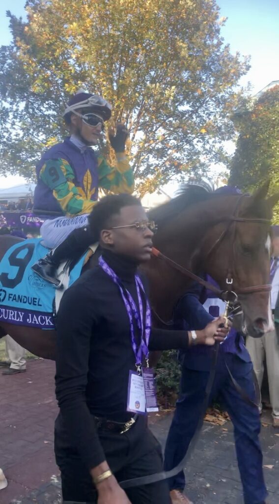Curly Jack in the paddock at Keeneland on November, 2022.  Photo was taken moments before Curly Jack earned Kentucky Derby prep race points in the Breeders' Cup Juvenile Stakes!
