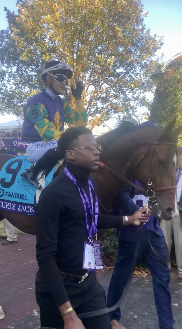 Curly Jack in the paddock at Keeneland on November, 2022. This photo was taken moments before Curly Jack earned Kentucky Derby prep race points in the Breeders' Cup Juvenile Stakes!