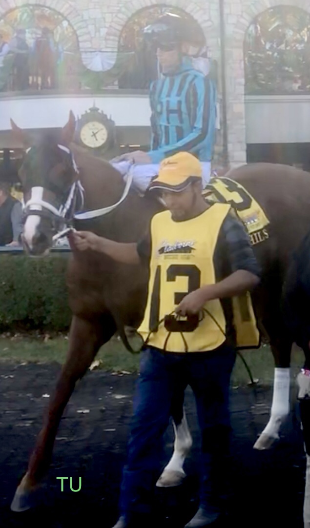 Two Phil's walks through Keeneland's paddock onward to race in the Claiborne Breeders' Futurity. In his next start, he will aim to earn Kentucky Derby points in the Jeff Ruby Steaks!
