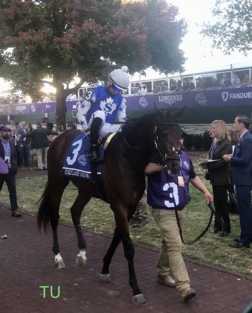 Curly Larry and Mo has raced at Keeneland in Lexington, KY twice before. He is entered in the Stonestreet Lexington Stakes.