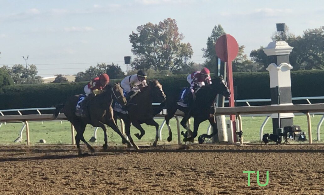 Wonder Wheel wins the Darley Alcibiades at Keeneland. She is a multiple graded stakes winner and has high hopes of winning the 149th Kentucky Oaks.