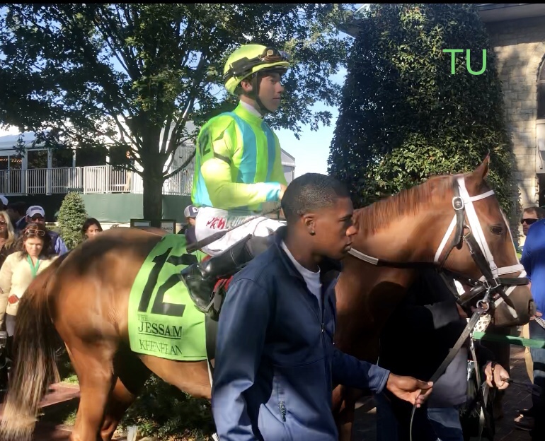 Towhead raced in Keeneland's JP Morgan Chase Jessamine Stakes. She is a contender in the 2023 Black-Eyed Susan Stakes.