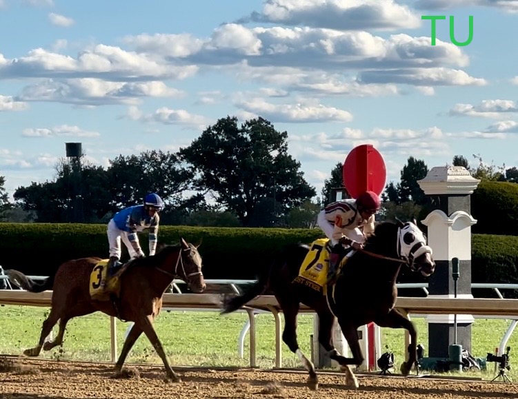 Just Steel and Awesome Road competed in the Claiborne Breeders' Futurity at Keeneland. They face off again in the Southwest Stakes! They may get a change in the 150th Kentucky Derby...