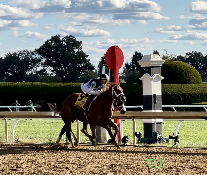 Locked raced to victory in the Breeders' Futurity. Will he win it all again in the Fountain of Youth Stakes?