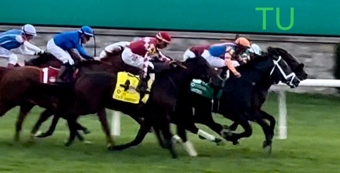 Noted has proven he can race the turf and the dirt, now he takes it to an all-weather track in the Jeff Ruby Steaks!