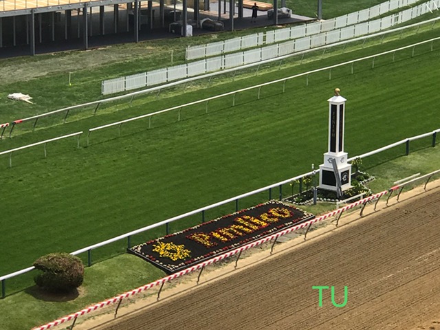 Pimlico is set to host the 149th Preakness Stakes!