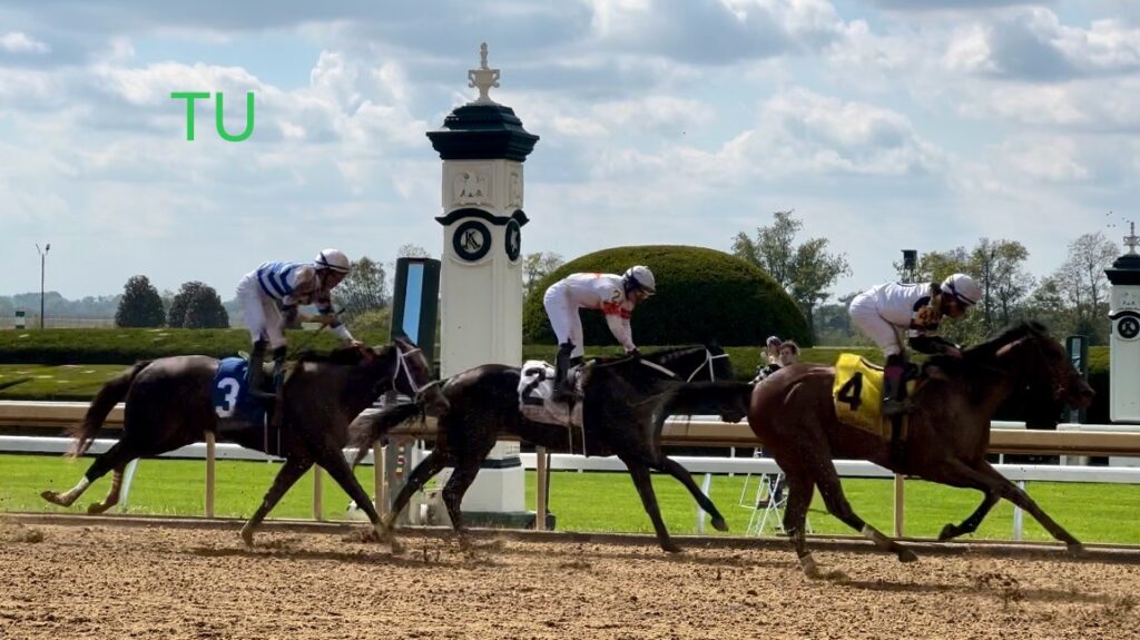 Lemon Muffin raced for the first time last October.  Now she is ready for the 150th Kentucky Oaks!