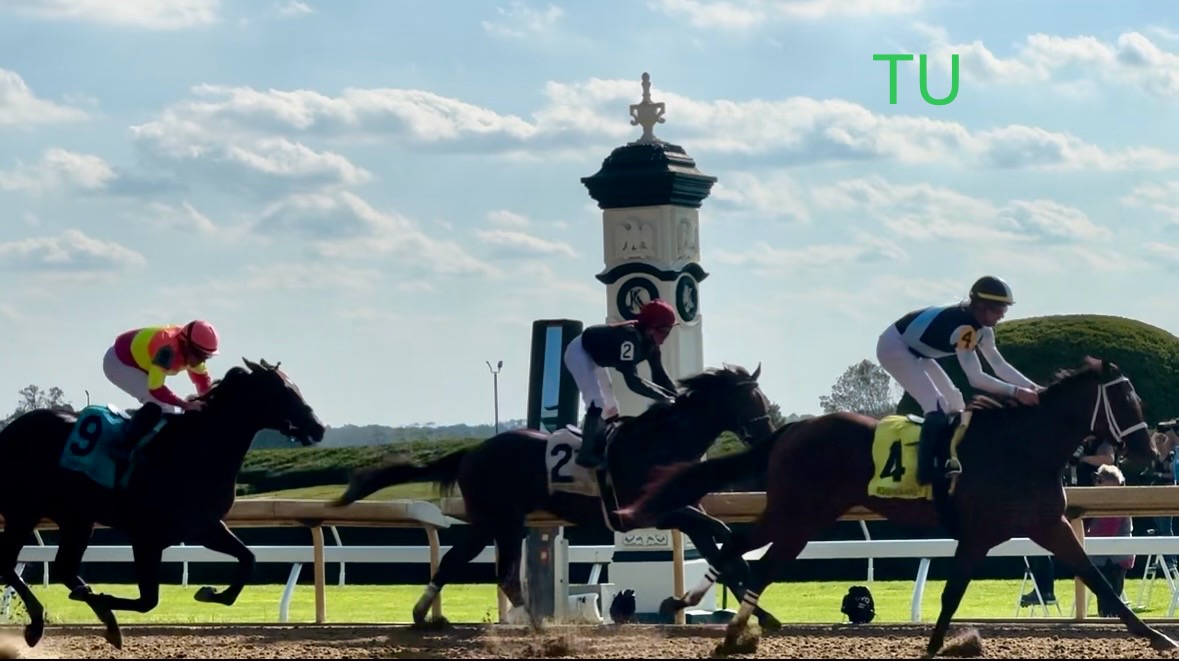 Currently, ranked 10th on the Kentucky Derby leaderboard is Built! He needs to add to his 35 points to stay in the top 20.