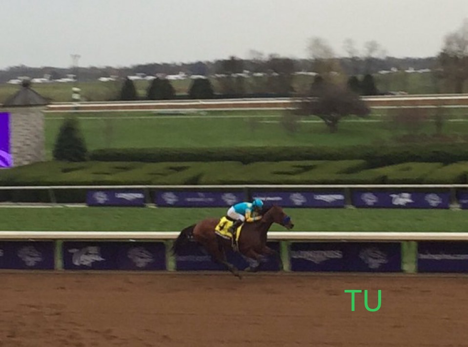 American Pharoah won the Arkansas Derby in 2015 on his way to capture the only and only Grand Slam!