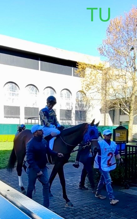 Render Judgment finished fifth in the Blue Grass. Now he wants a win in the 151st Kentucky Derby.