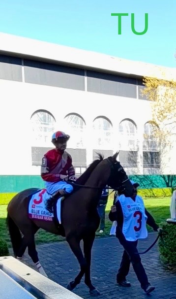 Burnham Square is fresh off a first place finish in Keeneland's Blue Grass Stakes. Next up, the 151st Kentucky Derby!