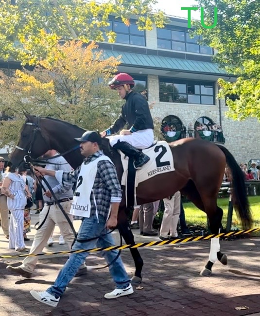 Render Judgement raced twice at Keeneland. He is Kentucky Derby ready.