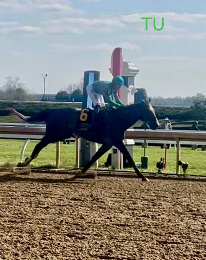 Gosger won the Lexington Stakes at Keeneland in his last start. Now he's hoping to win the 150th Preakness Stakes!