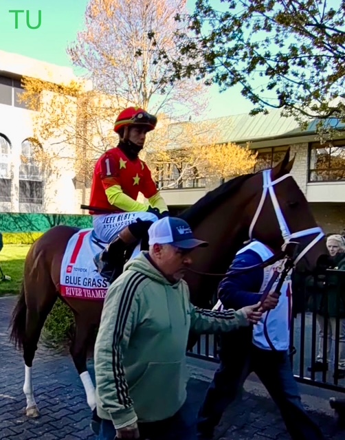 River Thames was third in Keeneland's Blue Grass Stakes. Now he hope for first in the Preakness Stakes.