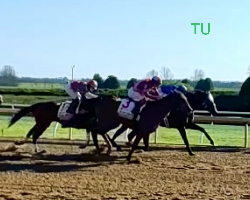 River Thames needs to be a bit further down the track in the Preakness, the shortest leg of the Triple Crown.