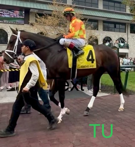 I'll be cheering for my homeboy, Crudo! From his maiden win at Keeneland to his post in the 2025 Belmont Stakes. He has come a long way, baby!