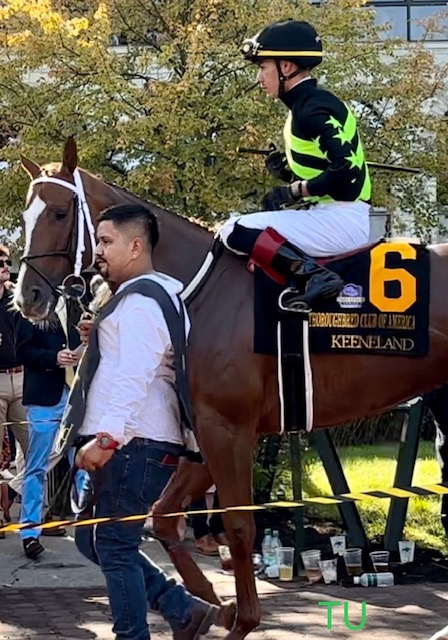 Fall in love with racing at Keeneland!
