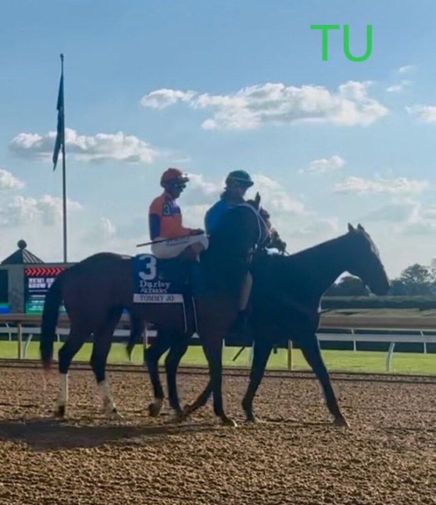 Darley winner, Tommy Jo is racing in the Juvenile Fillies at BC25!