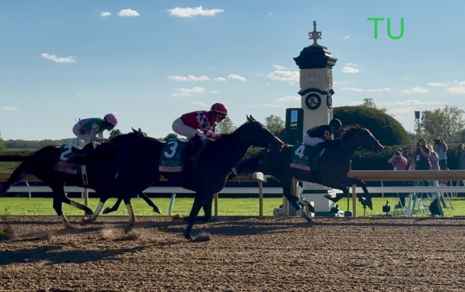 Gin Gin, Nitrogen and Scylla were the top three finishers in Keeneland/s Juddmonte Spinster Stakes. They will compete again in the 2025 Breeders' Cup Distaff.