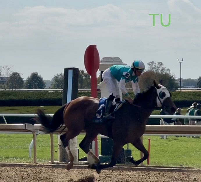 Maximus Prime is ready to shine for the Jeff Ruby Steaks!