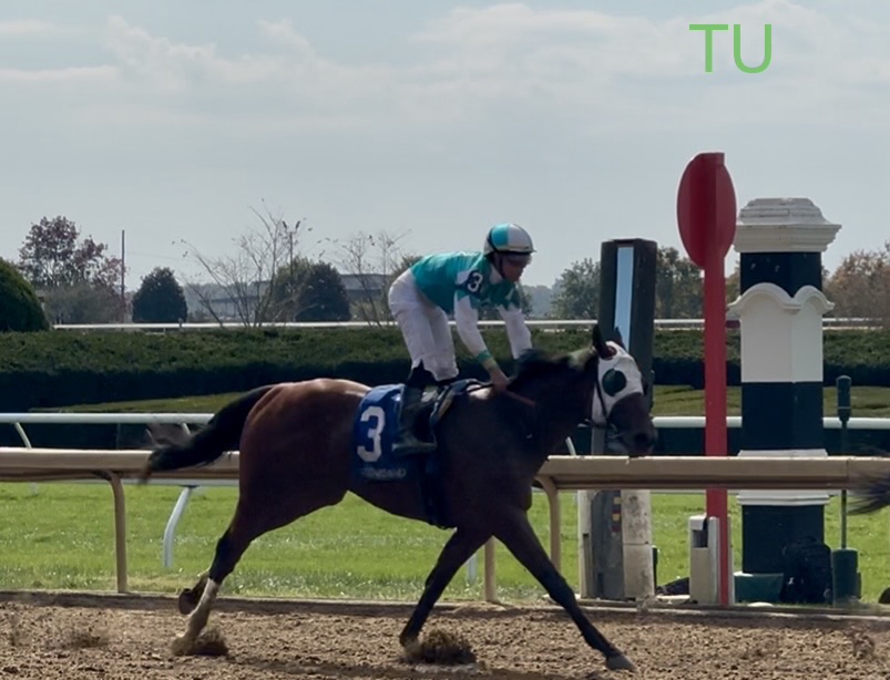 Maximus Prime is ready to shine for the Jeff Ruby Steaks!