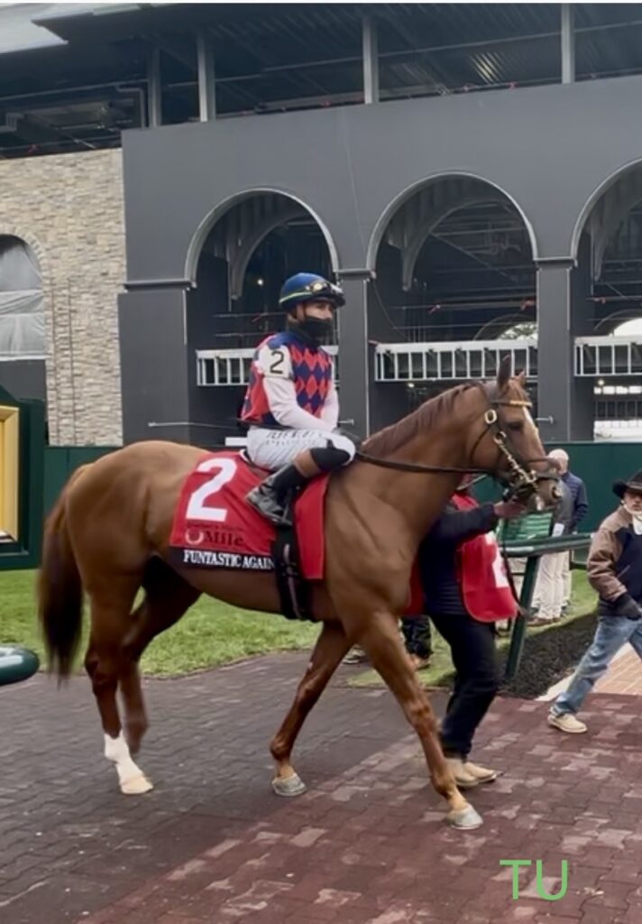 Funtastic Again raced in the Maker's Mark Mile at Keeneland in 2025.