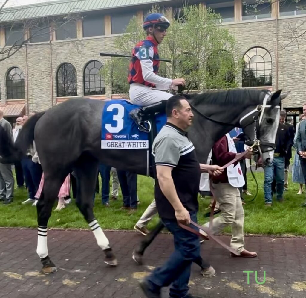 Great White is hunting a win in the 2026 Kentucky Derby!