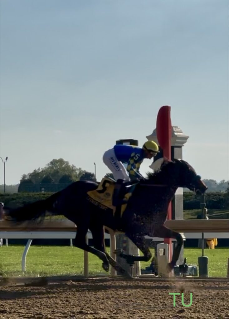 Litmus Test is up for the challenge of the 152nd Kentucky Derby!